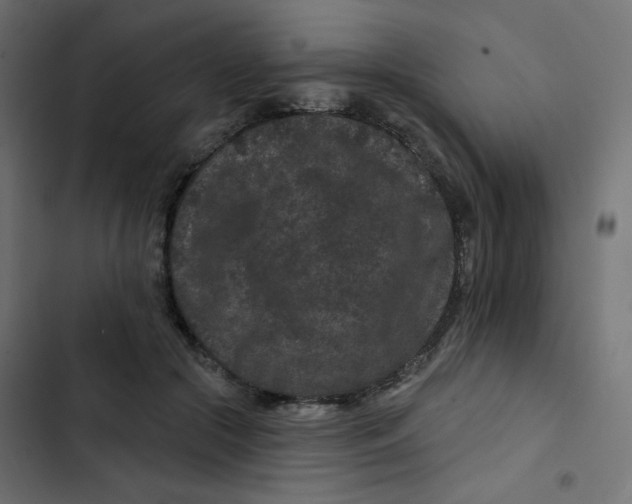 X0000103320553200809261139