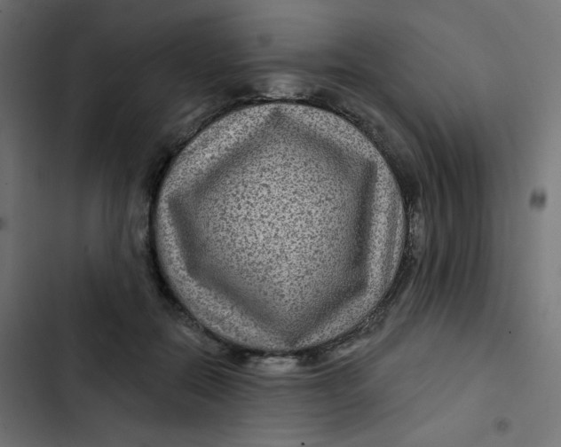 X0000103320554200809261139