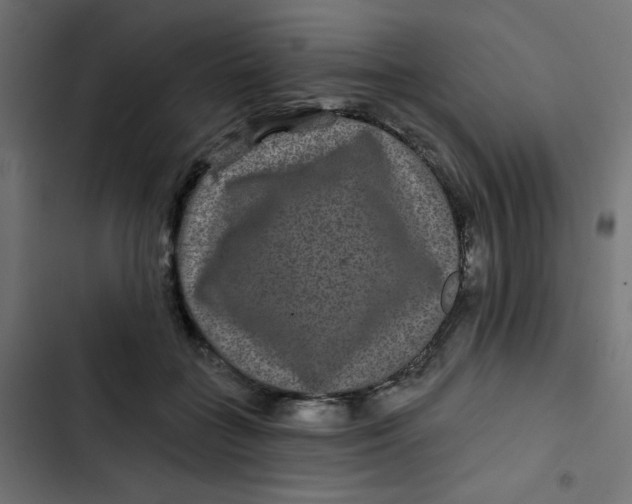 X0000103320555200809261139