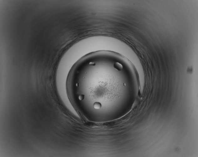 X0000103320556200809261139