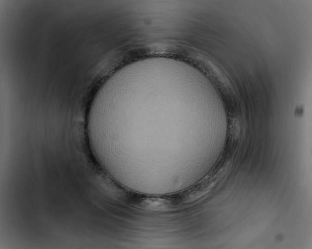 X0000103320557200809261139