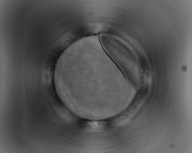 X0000103320558200809261139