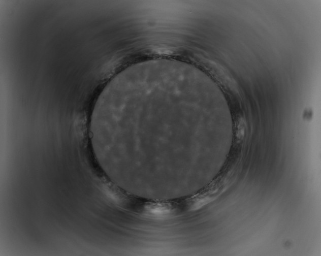 X0000103320559200809261139