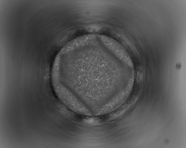 X0000103320561200809261139