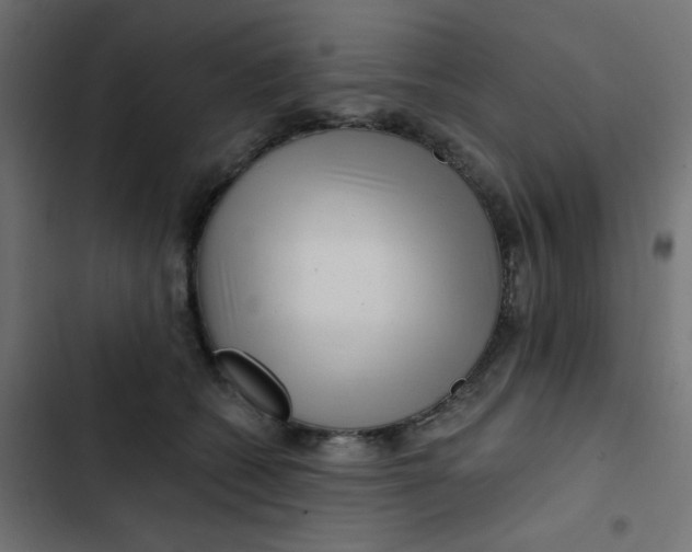 X0000103320562200809261139