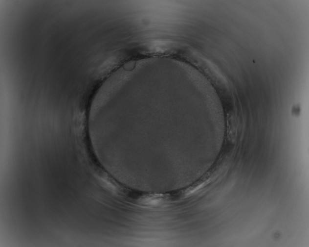 X0000103320563200809261139