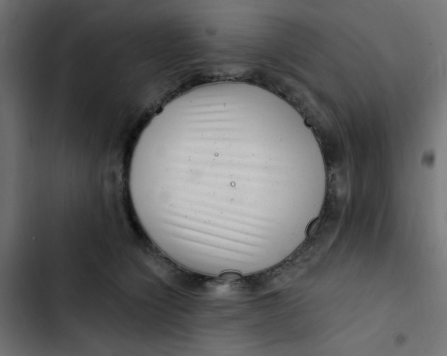 X0000103320564200809261139