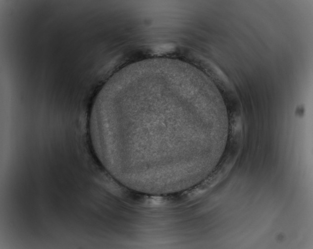 X0000103320565200809261139