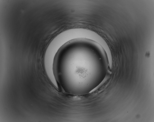 X0000103320566200809261139