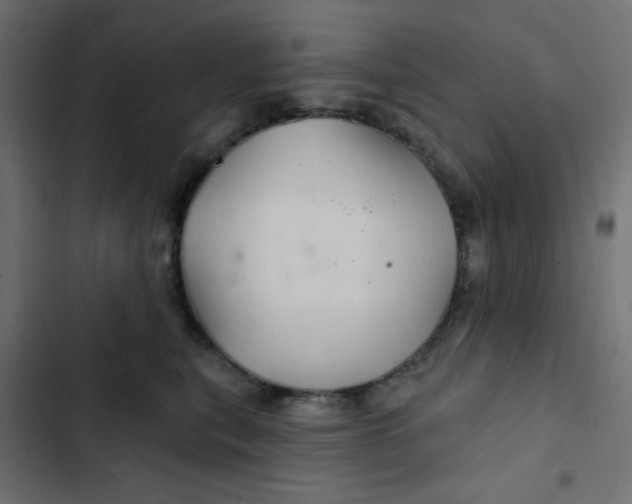 X0000103320567200809261139