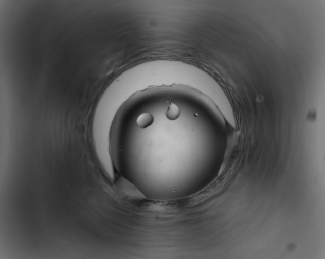 X0000103320568200809261139