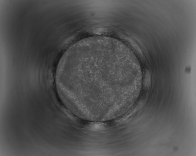 X0000103320569200809261139