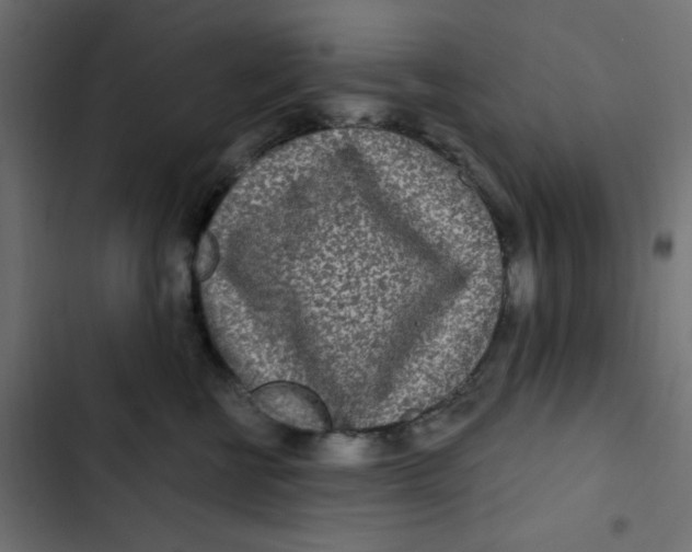 X0000103320570200809261139