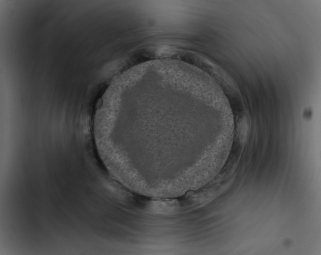 X0000103320571200809261139