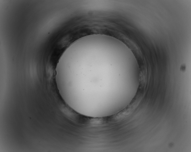 X0000103320574200809261139