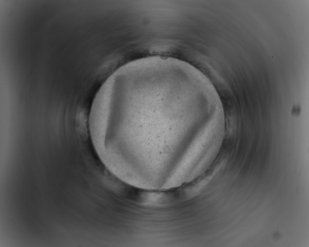 X0000103320575200809261139