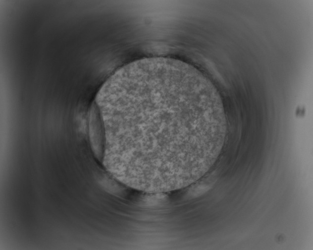 X0000103320576200809261139