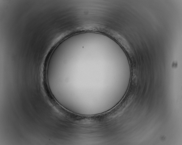 X0000103320578200809261138