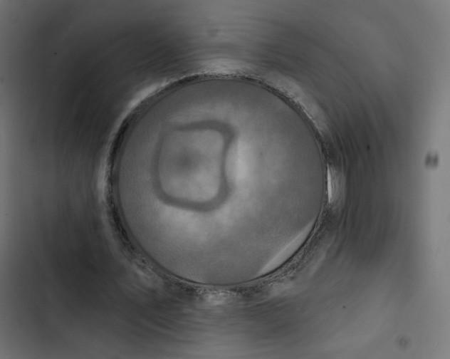 X0000103320579200809261138