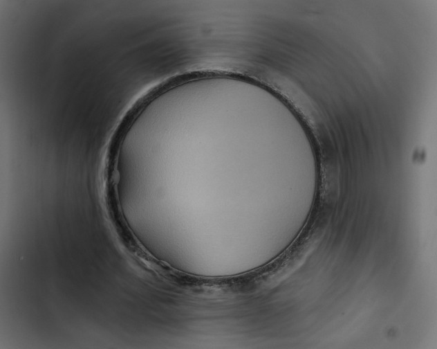 X0000103320580200809261138