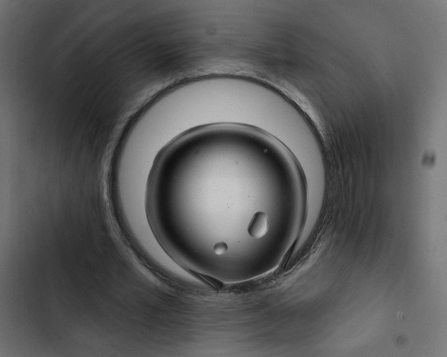 X0000103320581200809261138