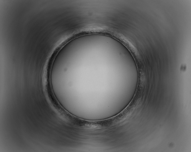 X0000103320582200809261138