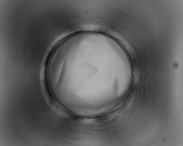 X0000103320583200809261138