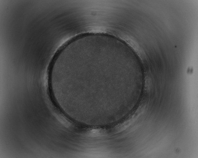 X0000103320584200809261138