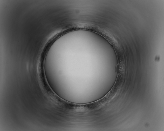 X0000103320587200809261138