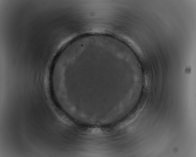 X0000103320588200809261138