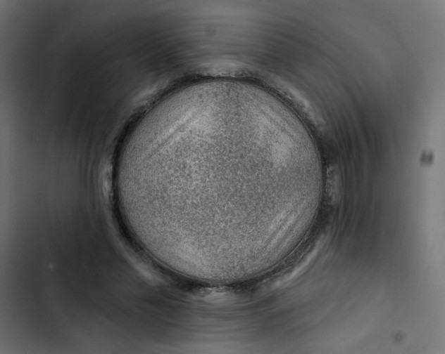 X0000103320589200809261138