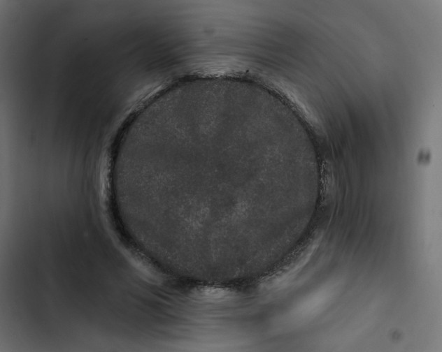 X0000103320590200809261138