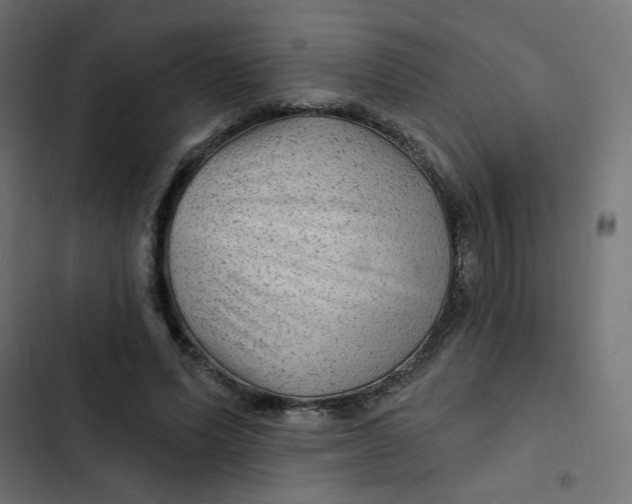 X0000103320591200809261138