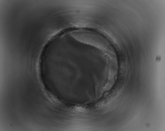 X0000103320592200809261138