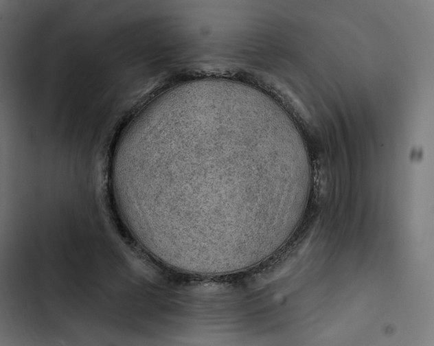 X0000103320593200809261138