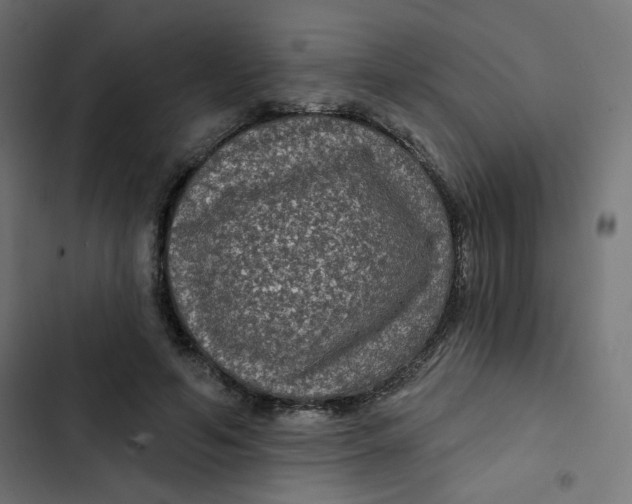 X0000103320594200809261138