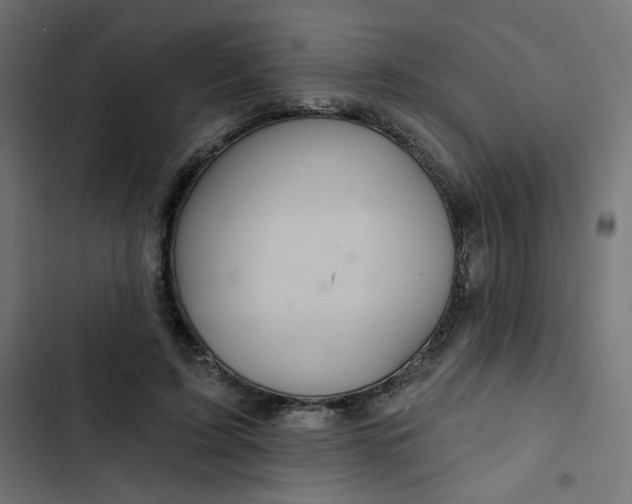 X0000103320595200809261138