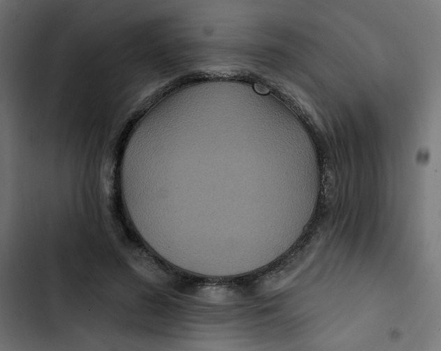 X0000103320596200809261138