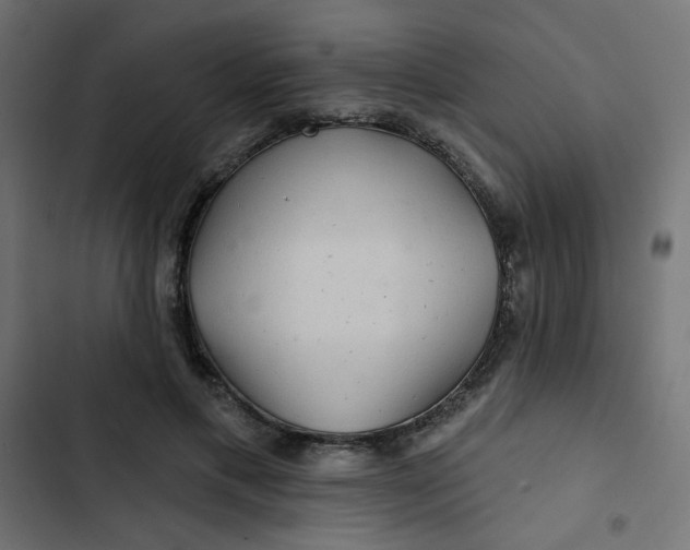 X0000103320597200809261138