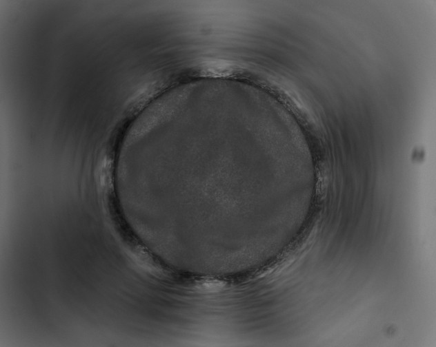 X0000103320598200809261138