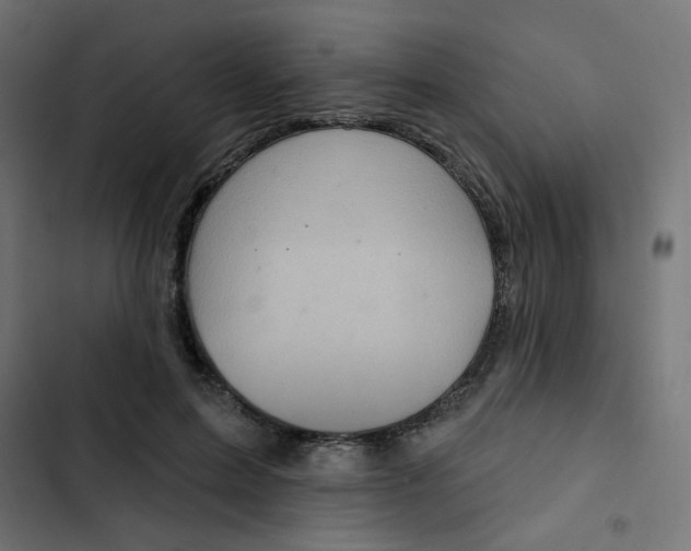 X0000103320599200809261138