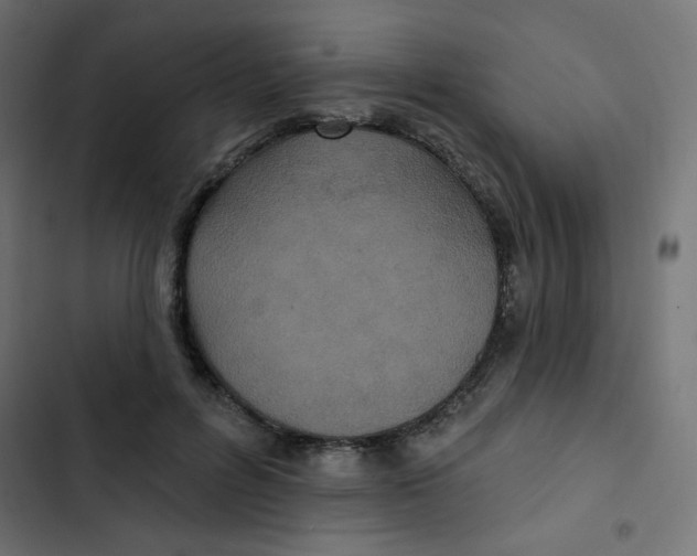 X0000103320600200809261138