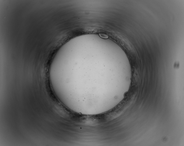 X0000103320601200809261138