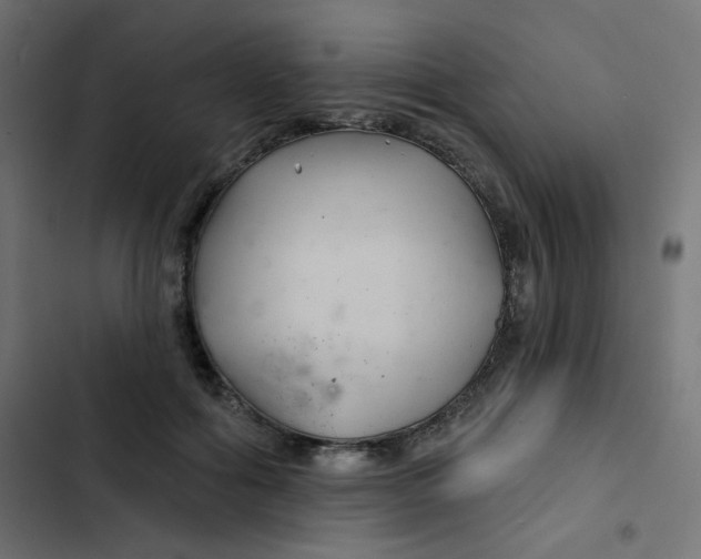 X0000103320602200809261138