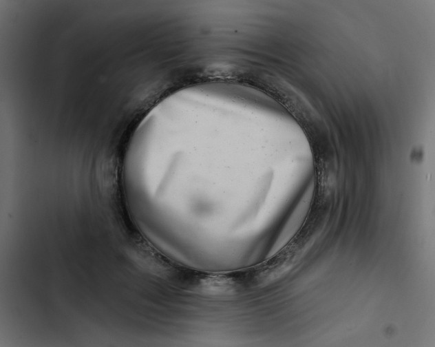 X0000103320603200809261138