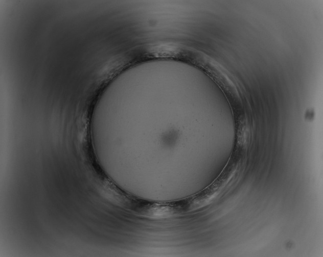 X0000103320604200809261138