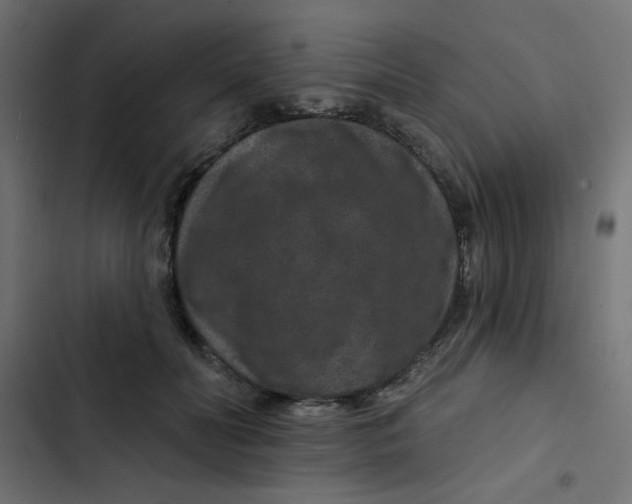 X0000103320606200809261138