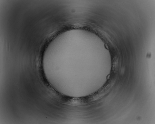 X0000103320608200809261138