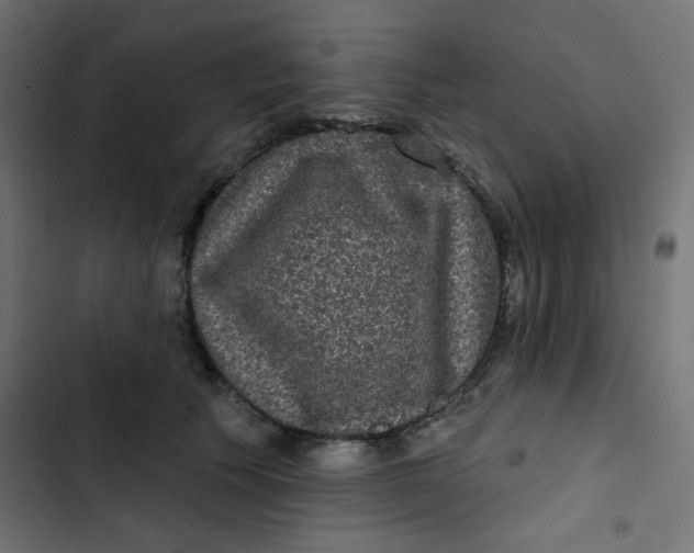 X0000103320609200809261138