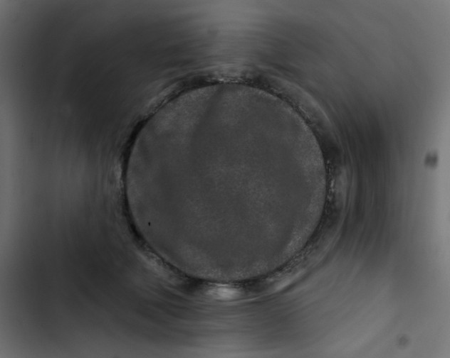 X0000103320610200809261138